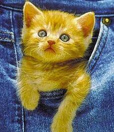 tu es mimi et tu as de magnifiques yeux !